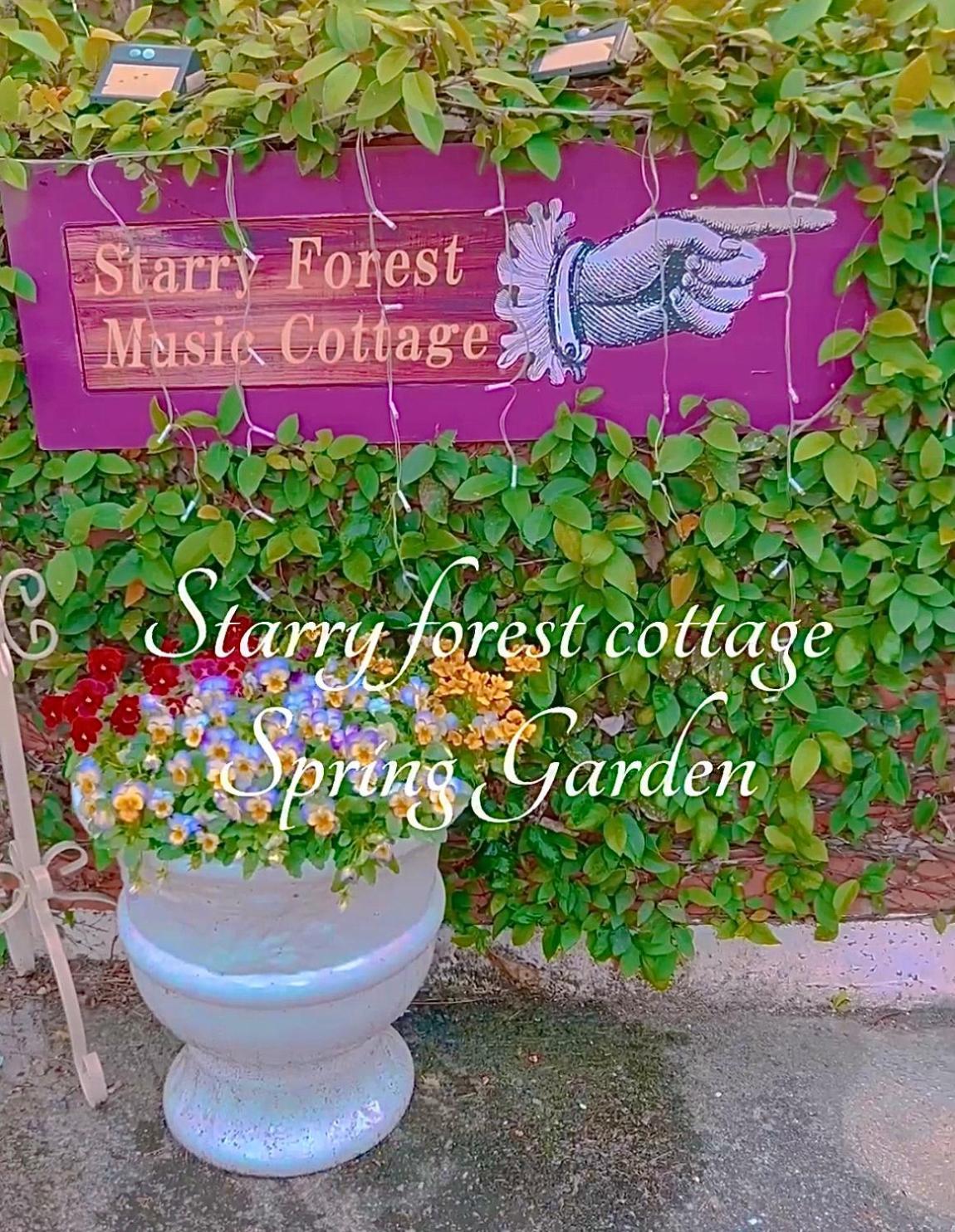 Cats,Piano & Starry Sky Resort Garden -Starry Forest Cottage Okinawa- อนนะ ภายนอก รูปภาพ