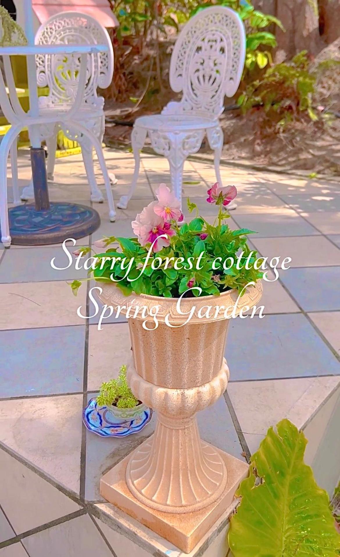 Cats,Piano & Starry Sky Resort Garden -Starry Forest Cottage Okinawa- อนนะ ภายนอก รูปภาพ
