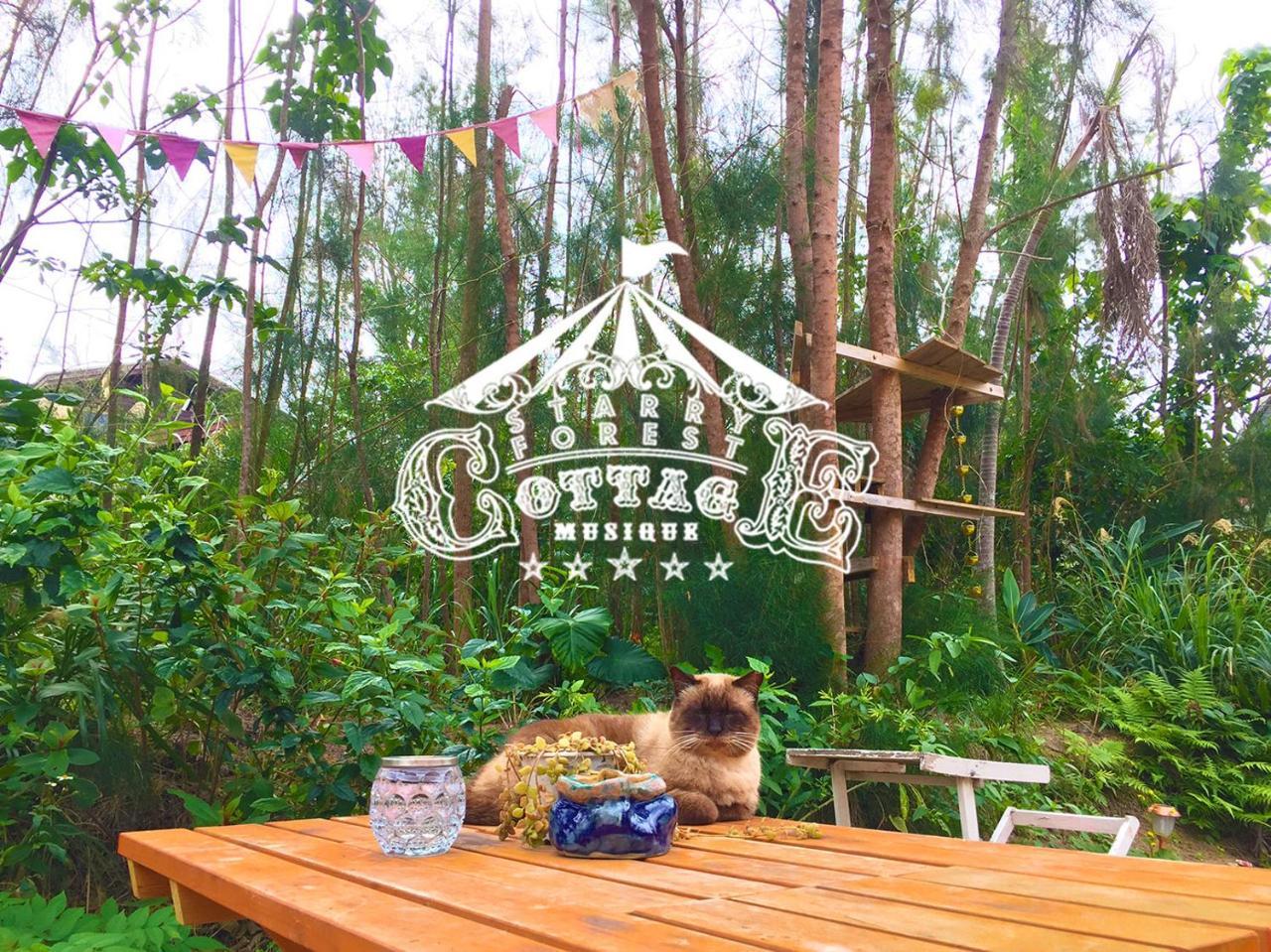 Cats,Piano & Starry Sky Resort Garden -Starry Forest Cottage Okinawa- อนนะ ภายนอก รูปภาพ